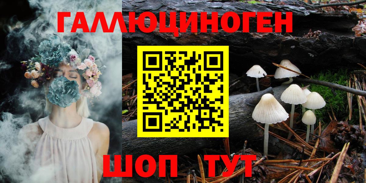 Галлюциногенные грибы Psilocybine cubensis Артёмовский